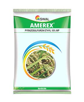 Amerex