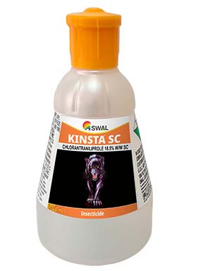 Kinsta 200 SC