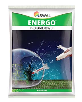 Energo