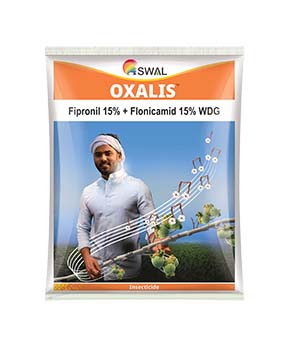 Oxalis