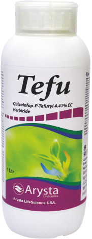 Tefu 