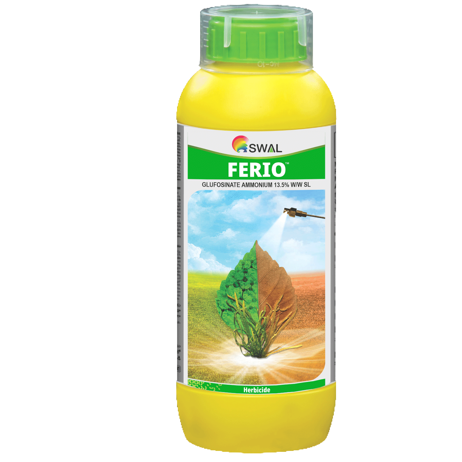 Ferio 
