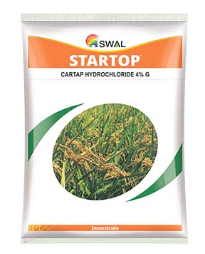 Startop
