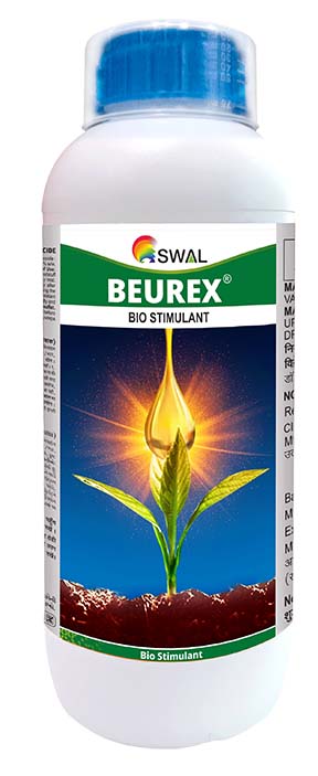 Beurex