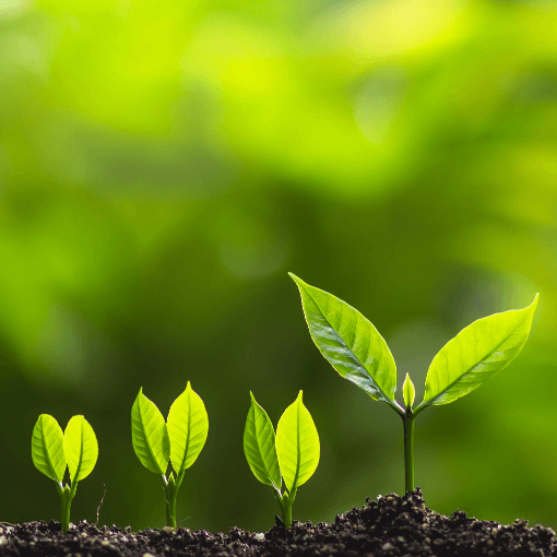 Land Preparation & Soil Health