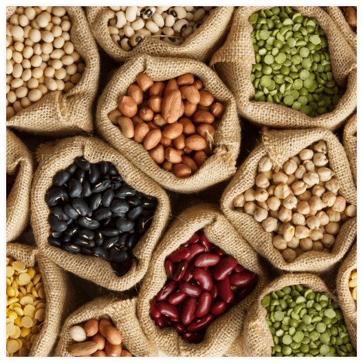 Land Preparation & Soil Health